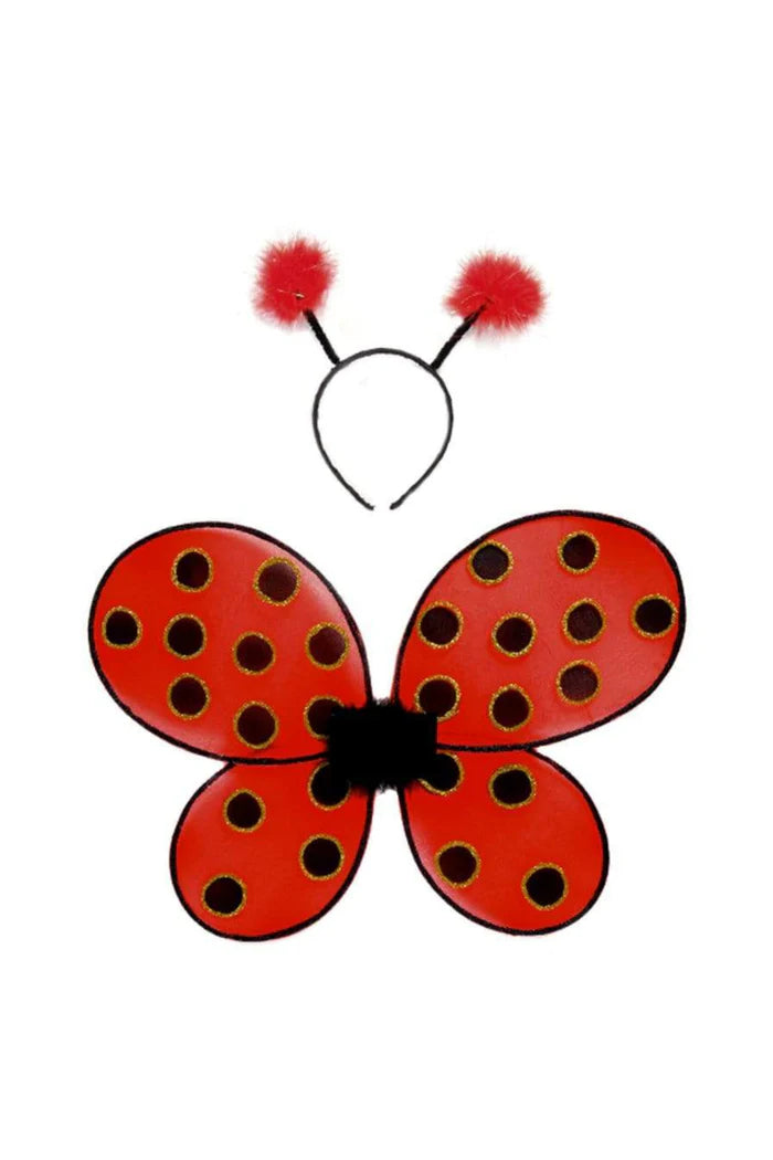 Ailes et bandeau de coccinelle La Fiesta Ideal