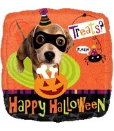 Halloween dog treats